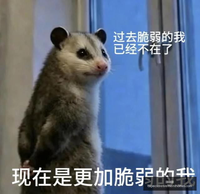 年独家,上海闵行古,美地块拍卖,葡京娱乐城官网,葡京娱乐城App,葡京娱乐城下载,葡京娱乐城登录,葡京娱乐城平台